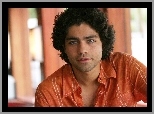 Adrian Grenier, Aktor